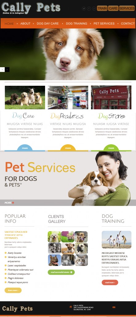 Pet Responsive Designs Themes